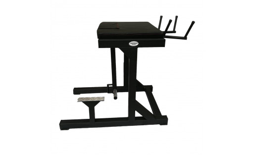 Reverse Hyperextension PRO | Allenamento Lombare Avanzato