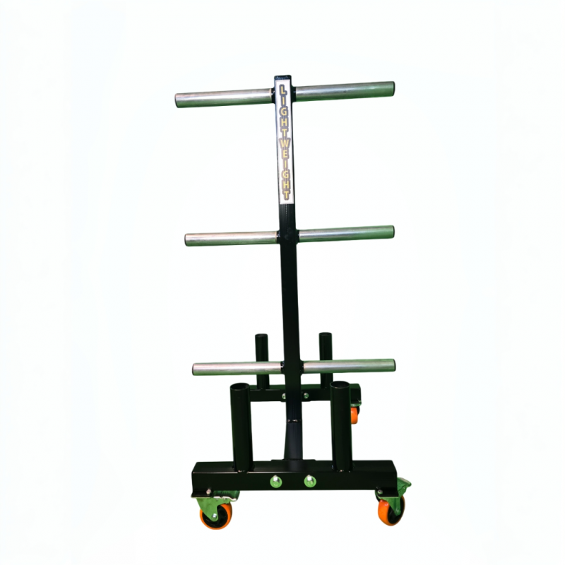 Support de Disques Bumper pour Salle de Sport