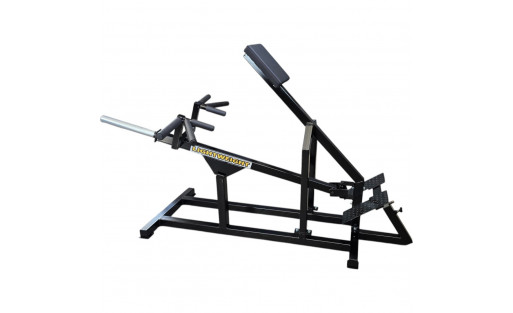 Incline Level Row