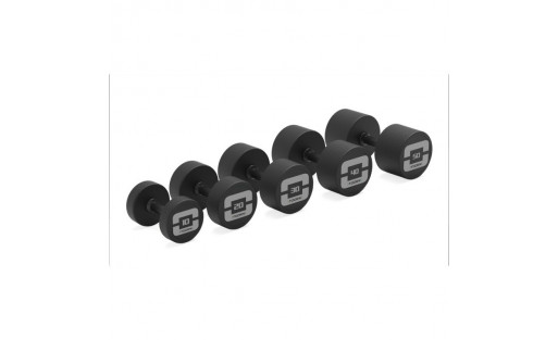 Pair of rubber-coated dumbbells with Absolute rotating handles
