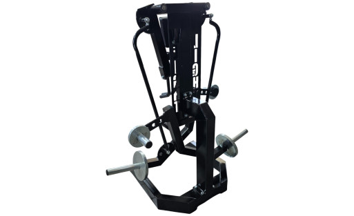 Lateral Raise - Lateral Raise Machine