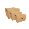 Set de Plyo Box de Madera