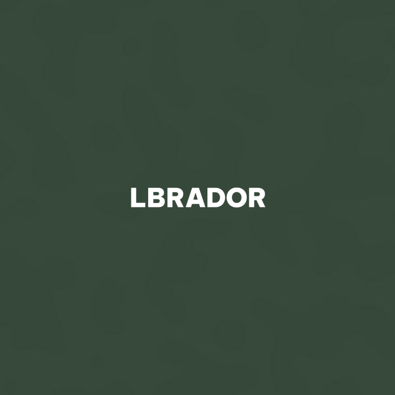 Perchero de pared Classic | SPORTARETUSA