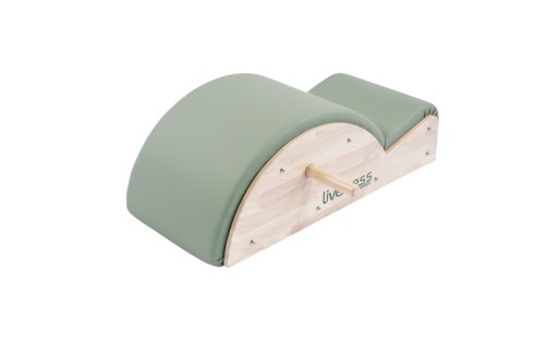 CORRECTOR DE COLUMNA TOORX PTX1700 | SPORTARETUSA