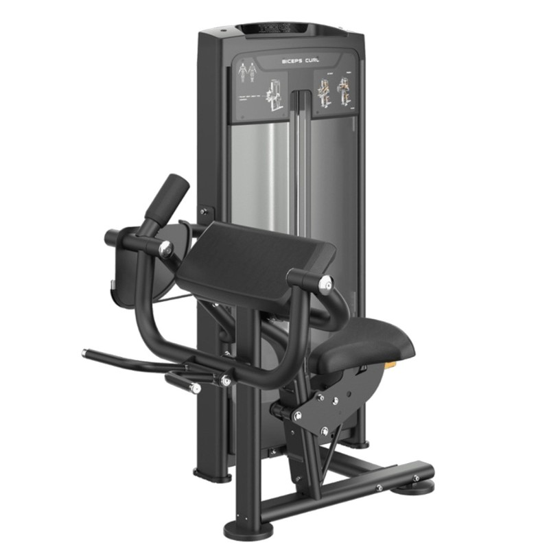 BICEPS CURL PLX-8600 | SPORTARETUSA
