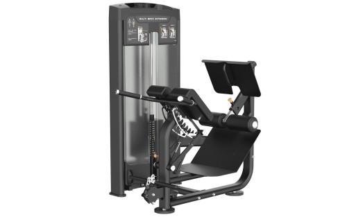 DUAL 45 HYPEREXTENSION