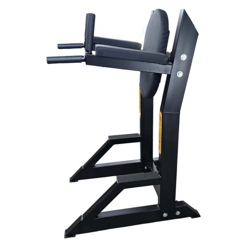 Power Tower Dip - Bauchmuskulatur | SPORTARETUSA Power Tower Dip - Bauchmuskulatur | SPORTARETUSA