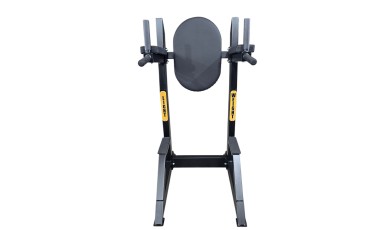 Power Tower Dip - Bauchmuskulatur Power Tower Dip - Bauchmuskulatur