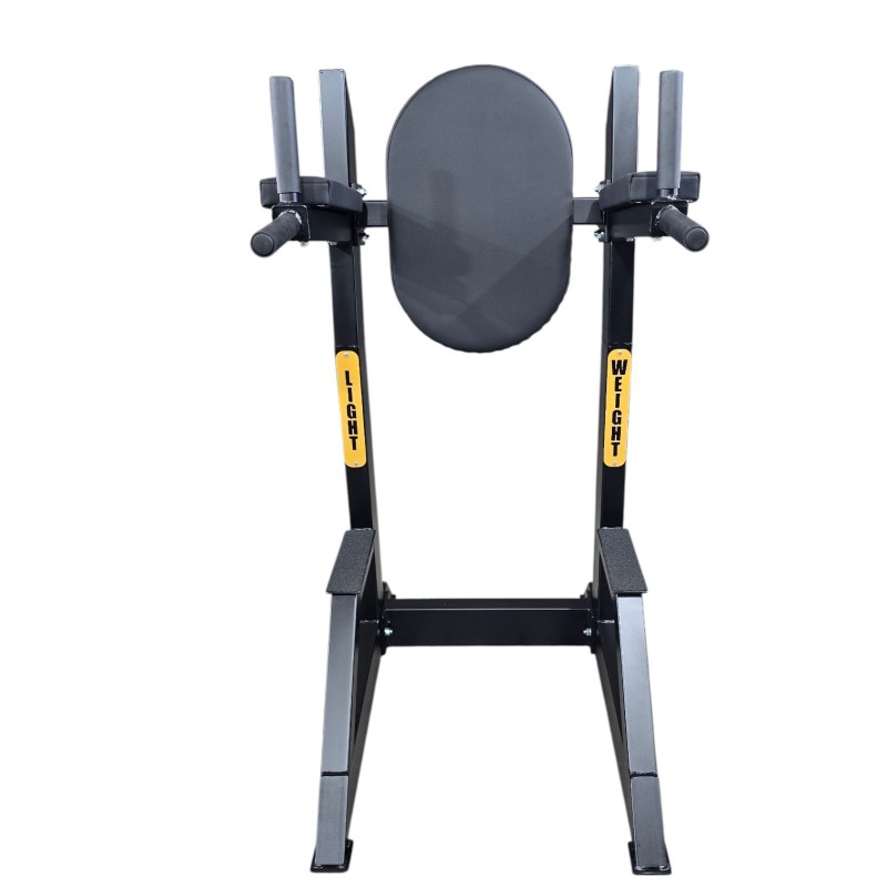 Power Tower Dip - Bauchmuskulatur | SPORTARETUSA Power Tower Dip - Bauchmuskulatur | SPORTARETUSA