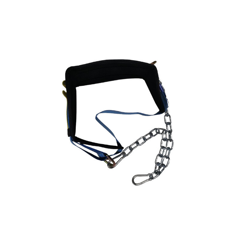 Ceinture pour Belt Squat – Puissance, Confort et Résistance jusqu'à 250 kg