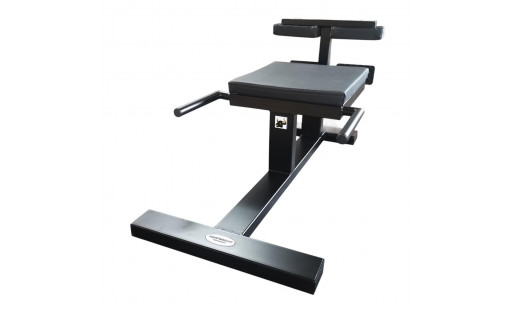 Nordic Curl | Allenamento Femorali | SPORTARETUSA