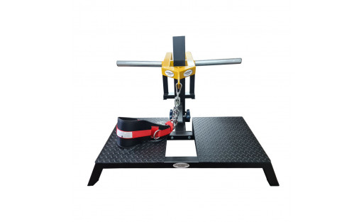 Squat à Ceinture Compacte